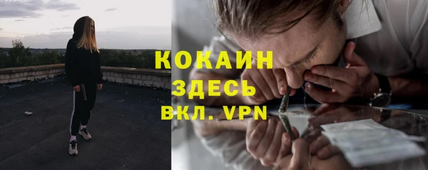 прущие грибы Покачи
