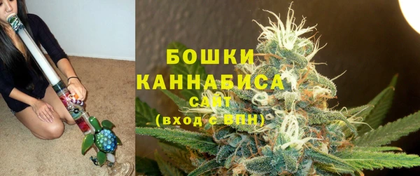 сатива Покровск