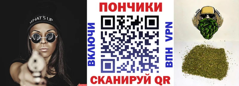 закладка  Алагир  Бошки марихуана индика 